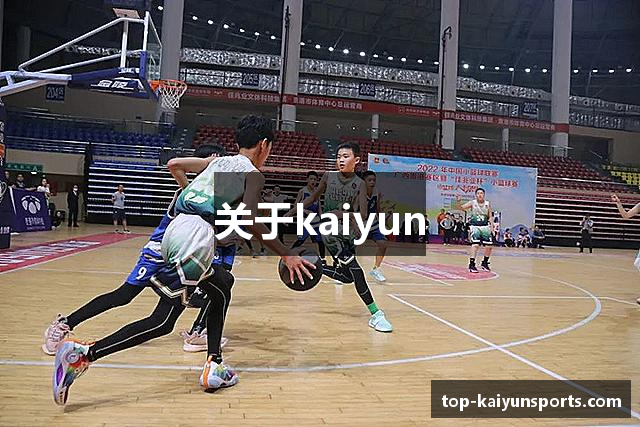 关于kaiyun